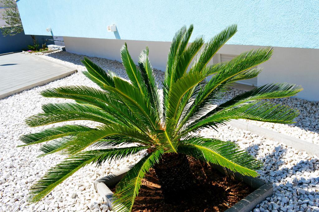 Permarinus Apartments Подстрана Екстериор снимка